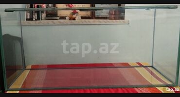 Информатика: Təcili satılır şüşeler 10luqdur uzunluğu 120sm hündürlüyü 56 sm eni 45