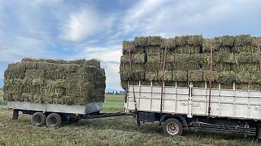 claas markant 50: Грузовой автомобиль Mercedes-Benz (бортовой) - Тип: среднетоннажный — 7