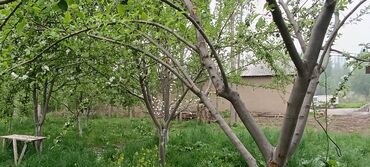 Продажа домов: Дача, 20 м², 6 комнат, Собственник, Евроремонт — 26