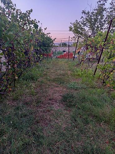 дачи в баку аренда: Мингечевир, 9 м², 1 комната, Без бассейна, Водопровод — 7