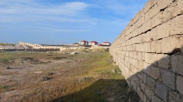 Torpaq sahələrinin satışı: 25 sot, Tikinti, Mülkiyyətçi, Kupça (Çıxarış) -da lalafo.az — 2 Torpaq sahələrinin satışı: 25 sot, Tikinti, Mülkiyyətçi, Kupça (Çıxarış) — 2