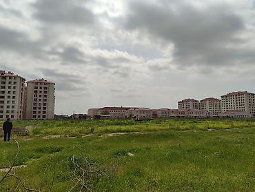 binədə: Kənd təsərrüfatı, Kupça (Çıxarış) — 3