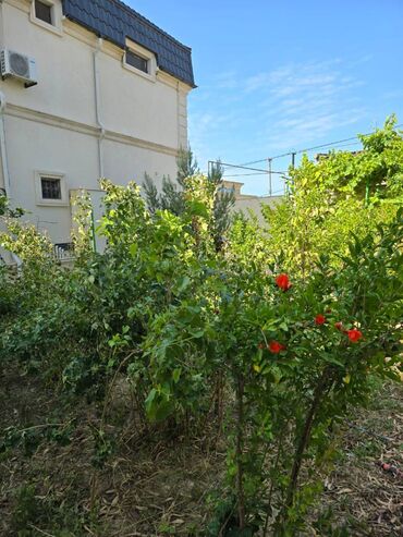 Uzunmüddətli kirayə evlər: 212 kv. m, 4 otaqlı, Kanalizasiya, Kombi, Qaz -da lalafo.az — 20 Uzunmüddətli kirayə evlər: 212 kv. m, 4 otaqlı, Kanalizasiya, Kombi, Qaz — 20