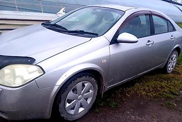 camry 1998: Nissan Primera: 2001 г., Автомат, Бензин, Седан — 1