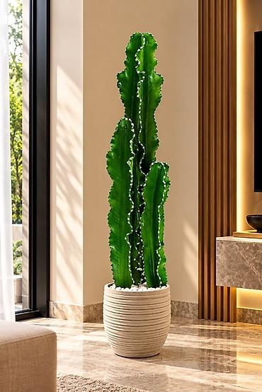 balba gulu: Green_Layn təqdim edir 🌴 Təbii görünüşü, möhtəşəm duruşu və zərif — 6