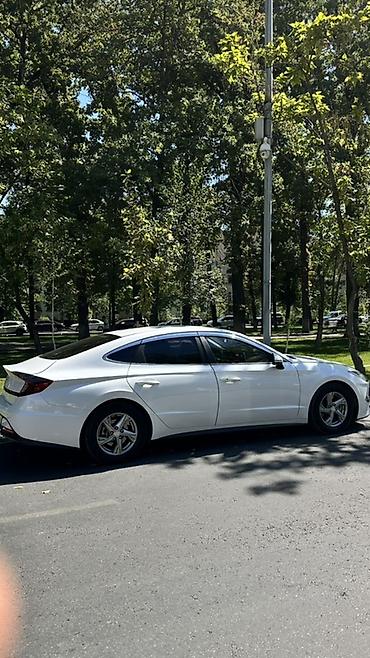 byd e5 2020: Hyundai Sonata: 2020 г., 2 л, Автомат, Газ, Седан — 7