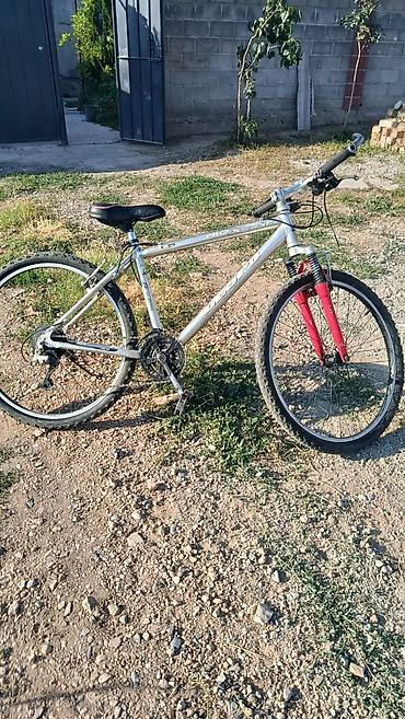 format velosiped: Горный велосипед Trek 3700 (серебристый) - Рама: алюминий, жесткая и — 1