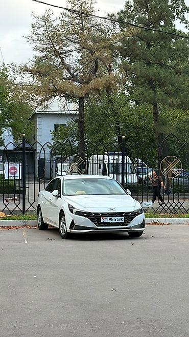 дрон avata: Hyundai Avante: 2020 г., 1.6 л, Автомат, Газ, Седан — 1