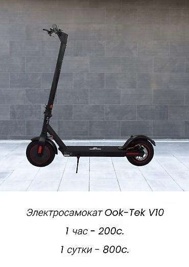 format diski: Аренда велосипеда, Горный — 2