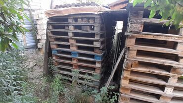 Черный пол: Paddon 60 ədəd var. Endirim olundu. 1 ədədi 5 manatdan 4 manata