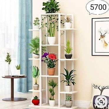 Тележки-органайзеры на колесах: Этажерки/стеллажи для комнатных растений - Дизайн: современные — 4