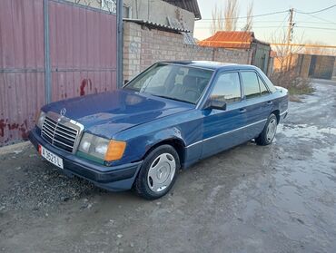 Mercedes-Benz: Mercedes-Benz W124: 1991 г., 2.5 л, Механика, Дизель, Седан