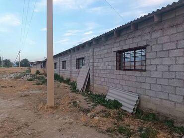 Сельхоз предприятия: Продаю Кошара, 50 соток, Действующий, Частично с оборудованием, Электричество, Канализация, Отопление at lalafo.kg — 19 Сельхоз предприятия: Продаю Кошара, 50 соток, Действующий, Частично с оборудованием, Электричество, Канализация, Отопление — 19