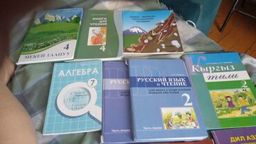 кыргыз тили 10 класс китеп: Книги школьные