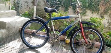 velosiped sekilleri: İşlənmiş İki təkərli Uşaq velosipedi 24", Ünvandan götürmə