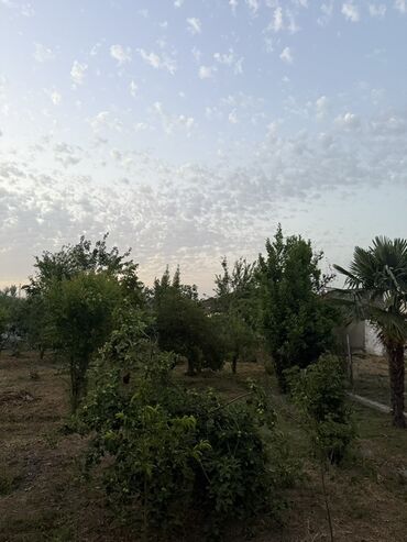 Torpaq sahələrinin satışı: 8 sot, Mülkiyyətçi, Kupça (Çıxarış)