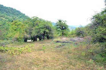 Torpaq sahələrinin satışı: 80 sot, Biznes üçün, Barter mümkündür, Kupça (Çıxarış) — 12