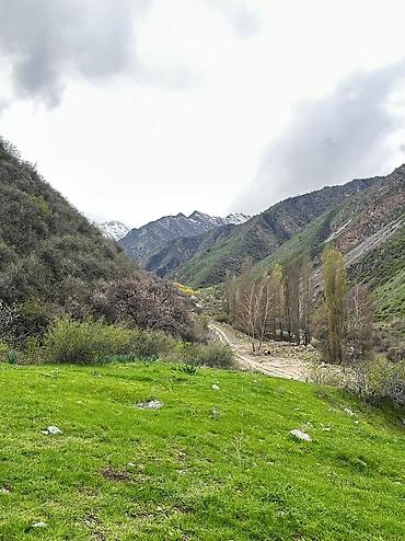 Туристические услуги: Отдых в горах с комфортом 🏔️ Уютные номера (люкс и стандарт) + сауна — 23