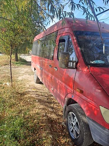 lync co: Mercedes-Benz M-class AMG: 2000 г., 2.9 л, Механика, Дизель, Бус — 3