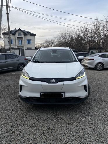 Weltmeister: Weltmeister EX5, 2020 г., 113000 км, Передний, В наличии — 1