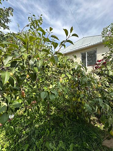 Продажа коттеджей и домов: Сдается на сезон — 19