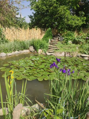 Продажа домов: Дача, 65 м², 4 комнаты, Собственник, Евроремонт — 5