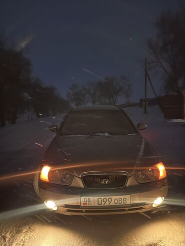 новые зимние шины: Hyundai Elantra: 2001 г., 2 л, Механика, Бензин, Хэтчбэк