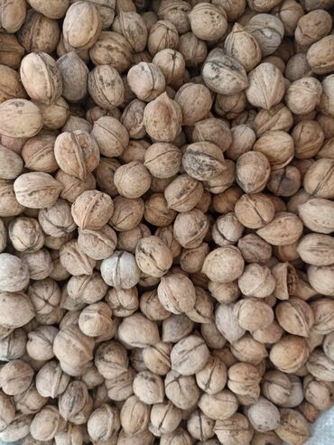 Сухофрукты, орехи, снеки: Орехи урожай 2023 есть мешок