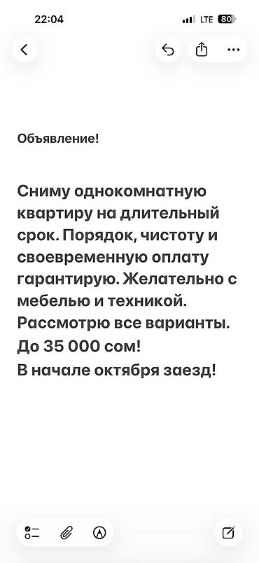 Студия, Без животных