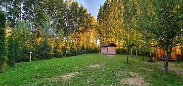 аренда кресла в салоне: 🌲 Зона отдыха "Фазенда"🌲 К вашим услугам мы предлагаем в аренду: ☀️ — 5