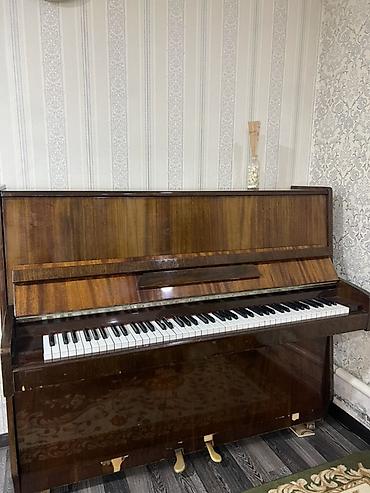 Музыкальные инструменты: Пианино акустическое, вертикальное (upright), корпус с отделкой под — 6