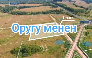 Продажа участков: 100 соток, Для бизнеса