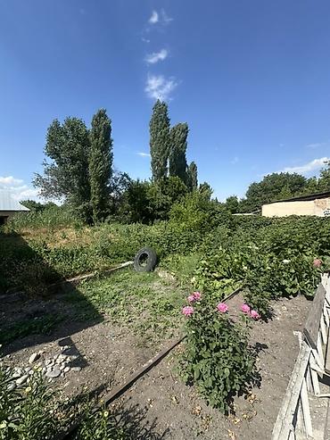 Продажа коттеджей и домов: 📍 В Сокулуке продаётся полуподвальный дом на участке 11 соток — 3