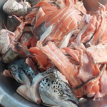 лосось рыба: Суп набор из форели. 1 кг 100 сом. замороженная. вкусно и полезно — 4