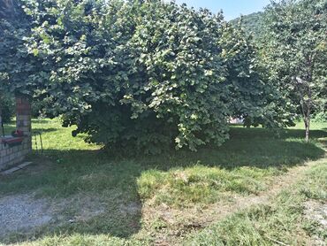 аренда и продажа недвижимости: 80 kv. m, 3 otaqlı, İşıq, Su, İnternet