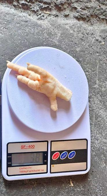 Курица: Куриные лапки из Ирана находиться в Кыргызстане замороженном виде — 8