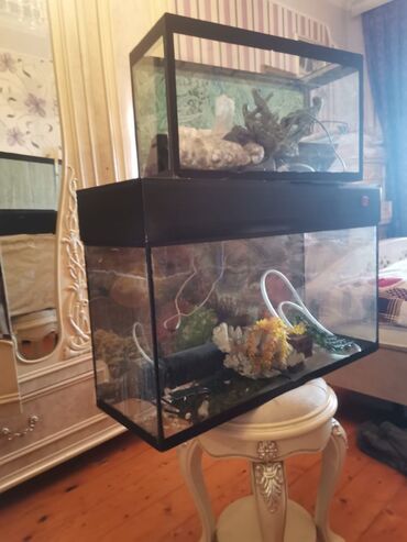 Akvarium aksessuar və ləvazimatları: Təcili satıllır 2 akvarumdu biri boyük biri balaca Aksesuarları