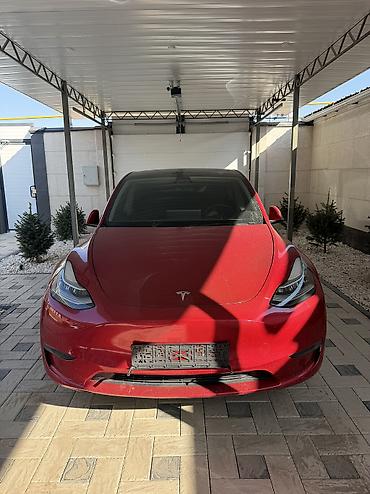 Tesla Model Y: 2021 г., 0.1 л, Автомат, Электромобиль, Кроссовер