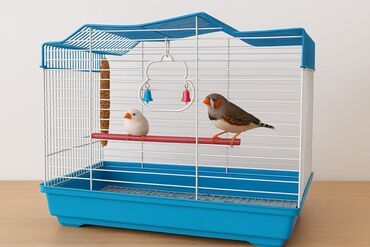 купить клетку для декоративного кролика: Клетка для мелких декоративных птиц с комплектом аксессуаров. -