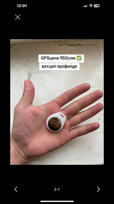 gps маяк для животных: GPS трекеры