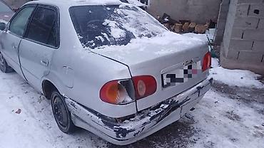 corolla runx: Toyota Corolla: 2000 г. — 3