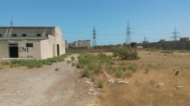 Torpaq sahələrinin satışı: 200 sot, Tikinti, Makler, Kupça (Çıxarış) — 11