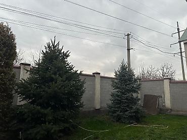 студия комната: 200 м², 5 комнат — 3