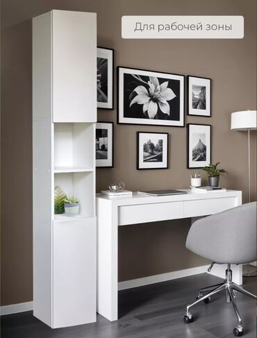 шкаф для документов металлический: Жуунуучу бөлмө үчүн шкаф, Жаңы, Күзгүсүз