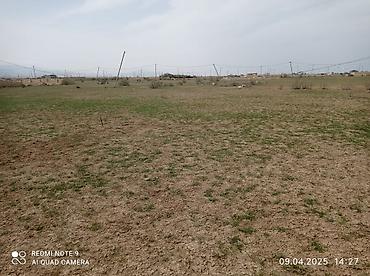 torpag satilir: 12 sot, Tikinti, Mülkiyyətçi, Kupça (Çıxarış) — 1