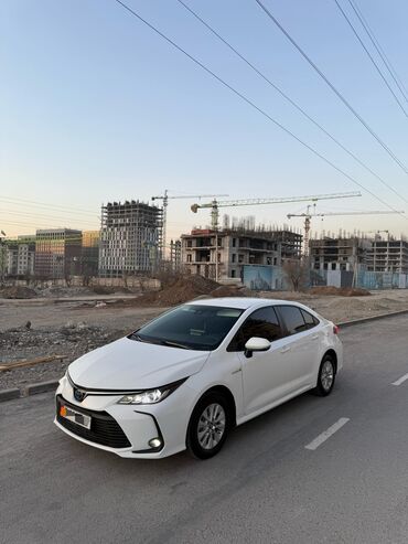 Toyota: Toyota Corolla: 2019 г., 1.8 л, Автомат, Гибрид, Седан