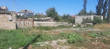 ev ve torpaq: 14 sot, Tikinti, Mülkiyyətçi, Kupça (Çıxarış) — 3