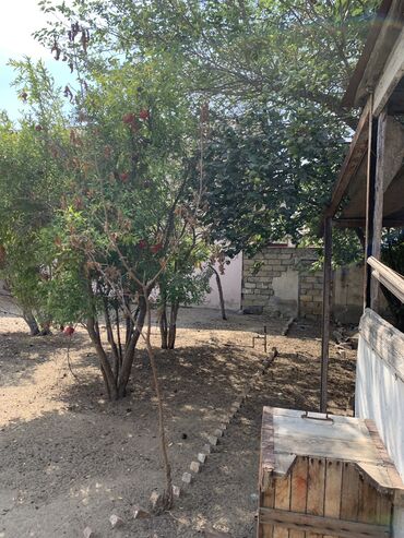 купить участок в вишневке баку: 5 sot, Tikinti, Mülkiyyətçi, Kupça (Çıxarış)