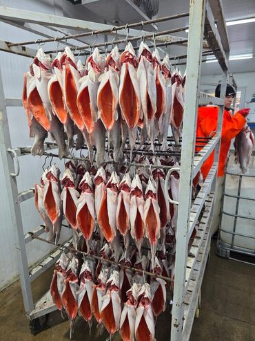 Рыба и морепродукты: Замороженный, До 1 кг, Самовывоз, Бесплатная доставка, Платная доставка at lalafo.kg — 4 Рыба и морепродукты: Замороженный, До 1 кг, Самовывоз, Бесплатная доставка, Платная доставка — 4