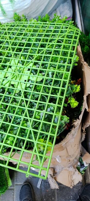 Süni güllər: Süni yaşıl divar paneli müxtəlif yaşıl yarpaqların və qırmızı — 32